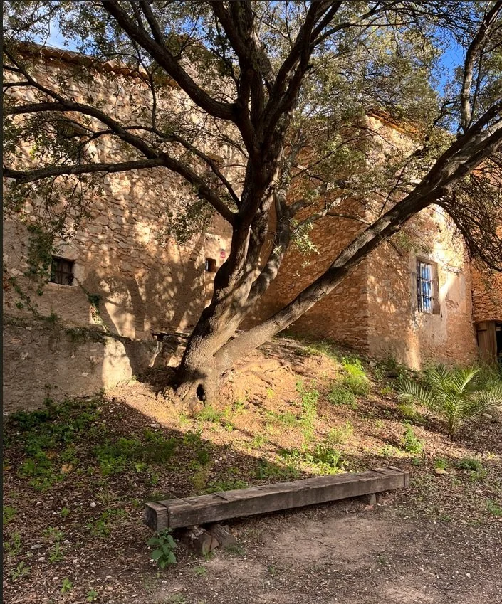 Masia Can Giralt, Palou (Sant Pere de Ribes), Garraf, llum daurada octubre