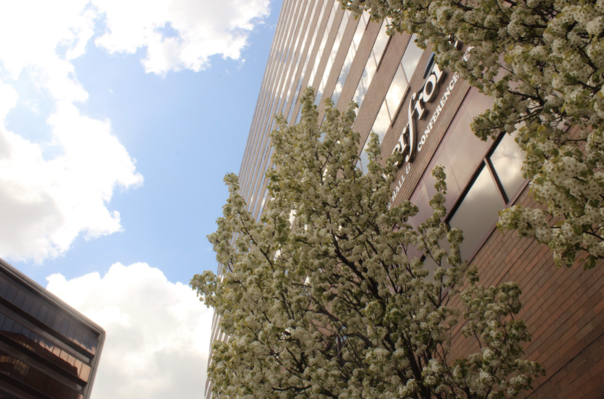 Spring (1 of 2), 2024