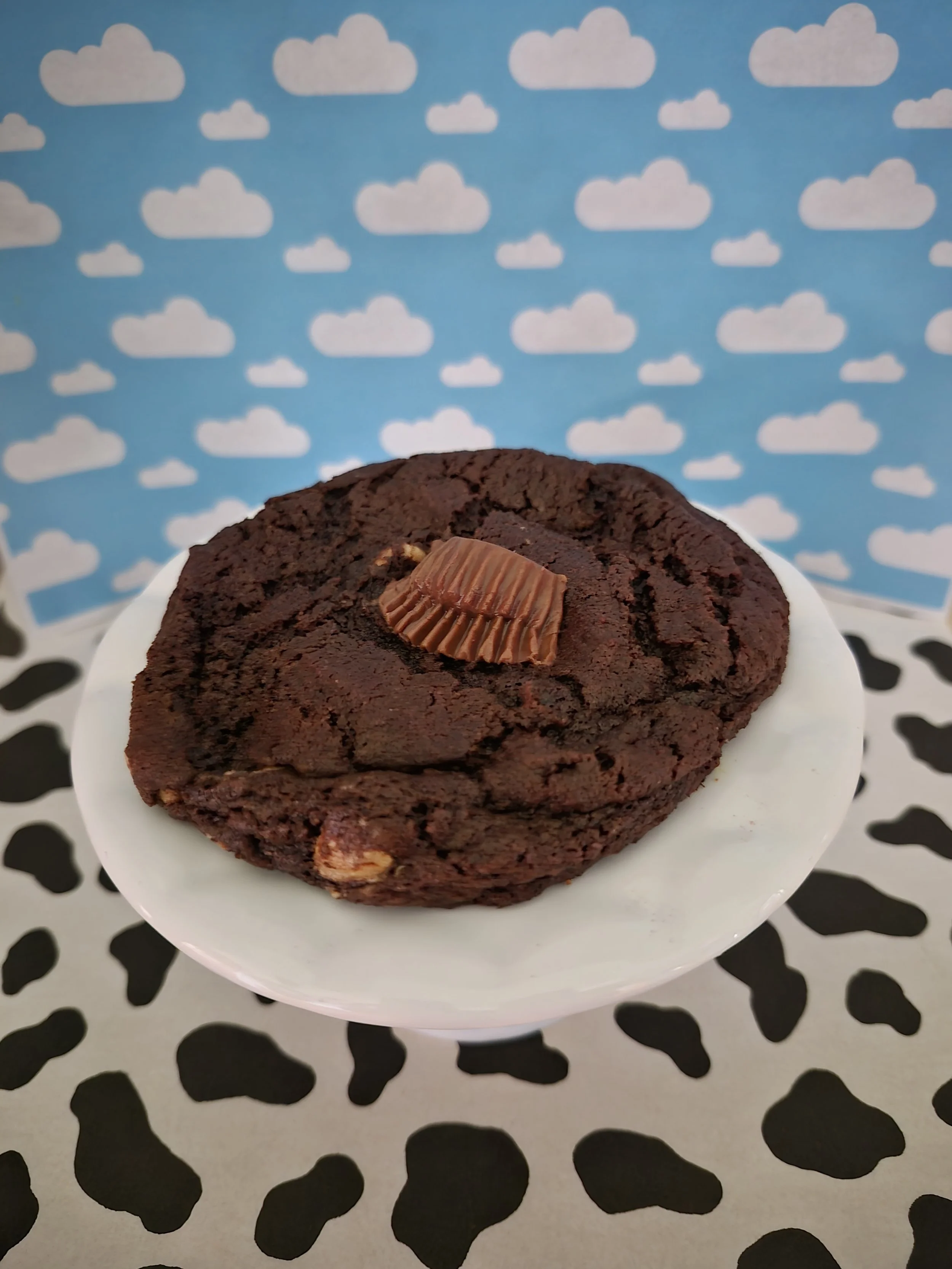 Chocolate peanut delight