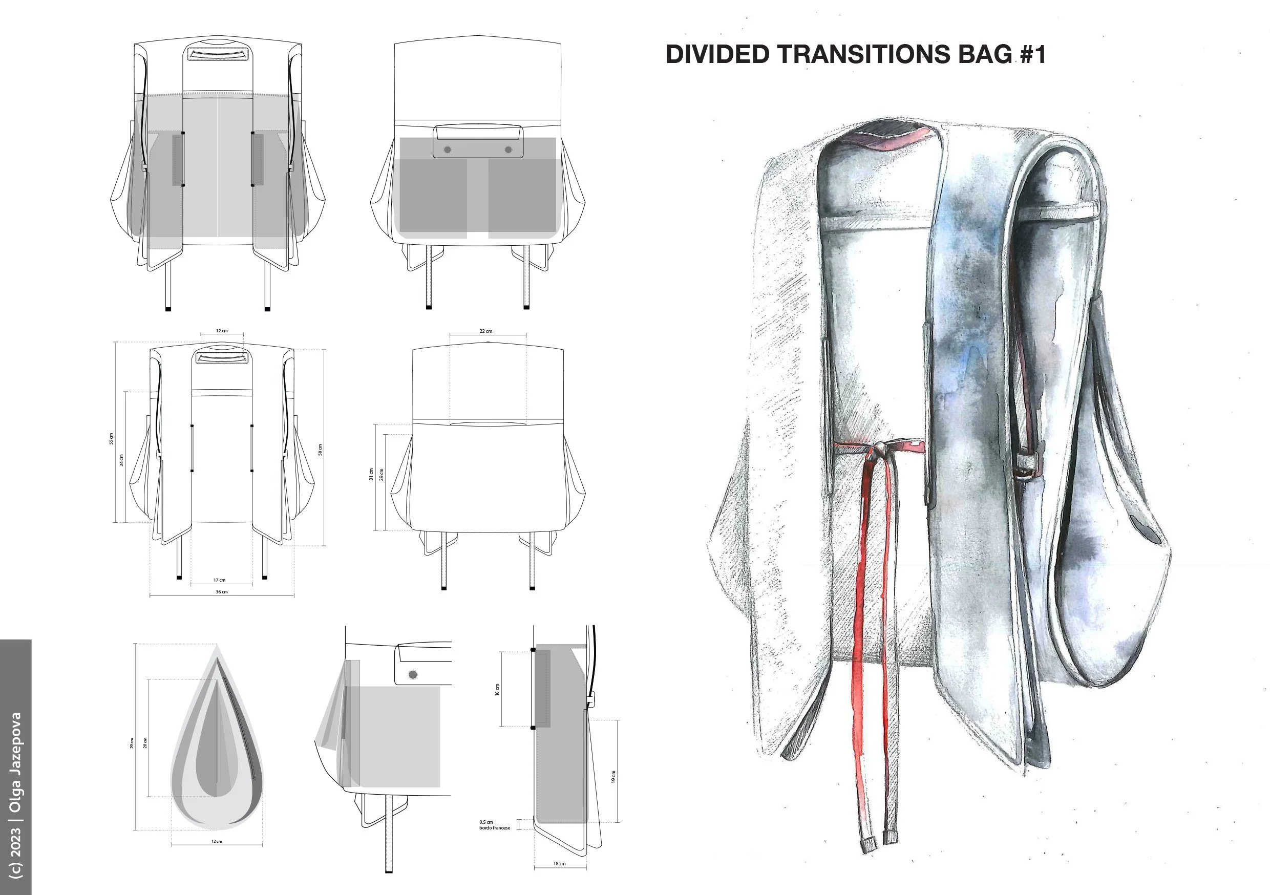 Olga Jazepova Bottega Veneta bag collection