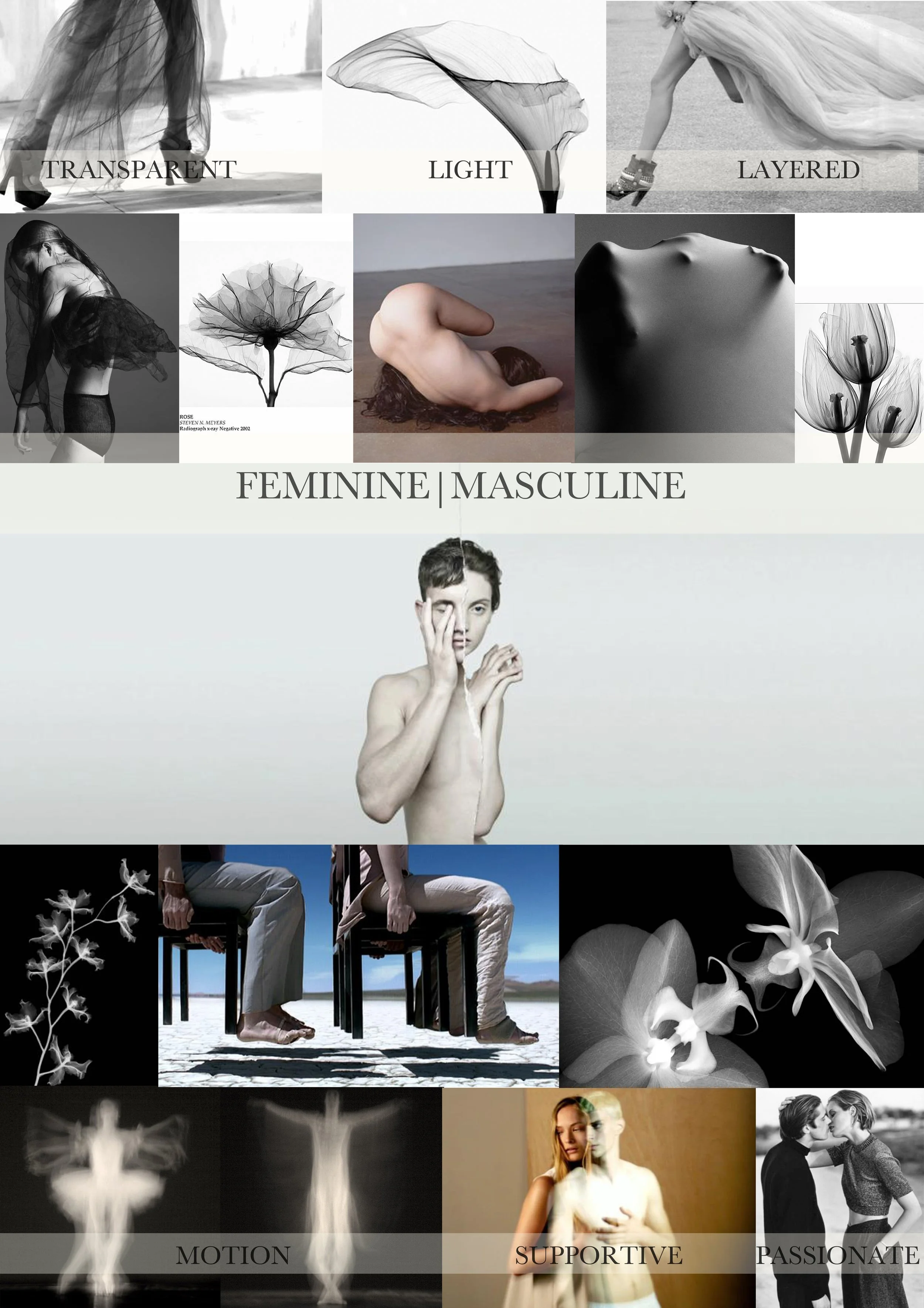 triumph moodboard.jpg