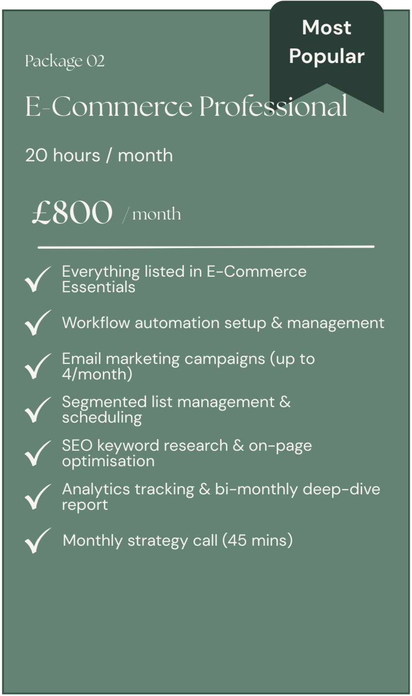 A green promotional flyer for a package called E-Commerce Professional, offering 20 hours per month for 800 pounds, with features like email marketing, SEO, analytics, and monthly strategy calls, marked as most popular.