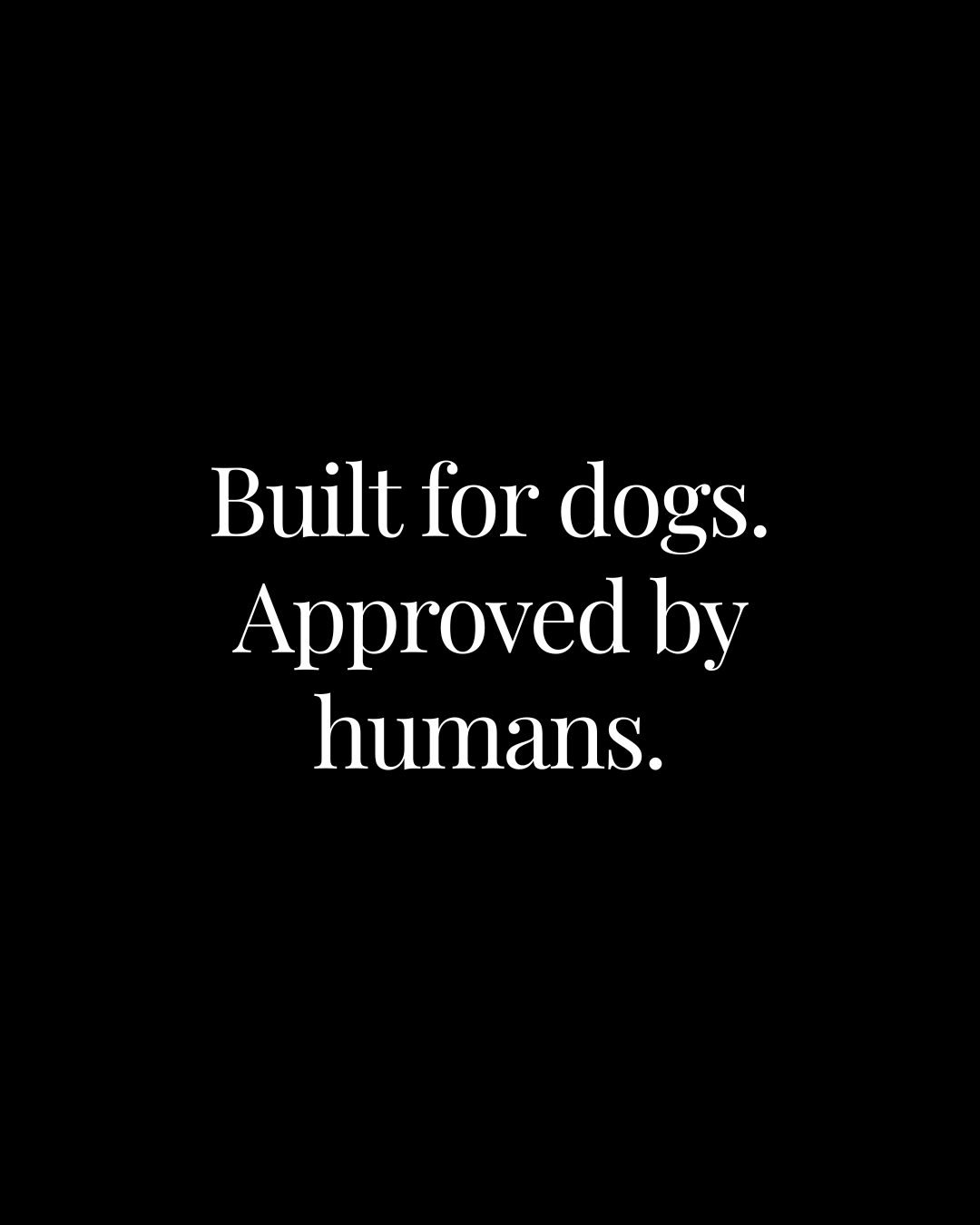 I Built London’s Biggest Dog Community. Now I’m Building Something Smaller.