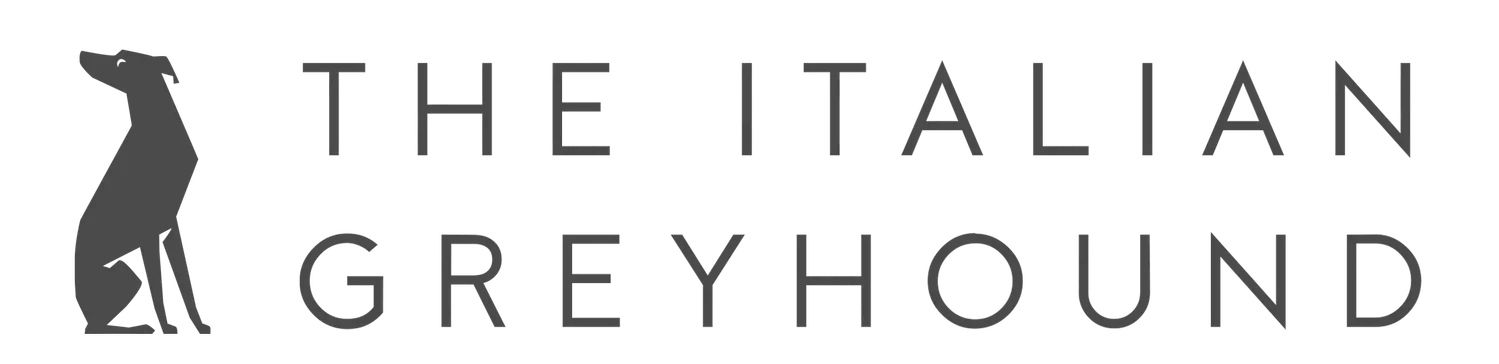 Logo for The Italian Greyhound featuring a silhouette of a greyhound dog in gray, followed by the stylized text 'The Italian Greyhound'