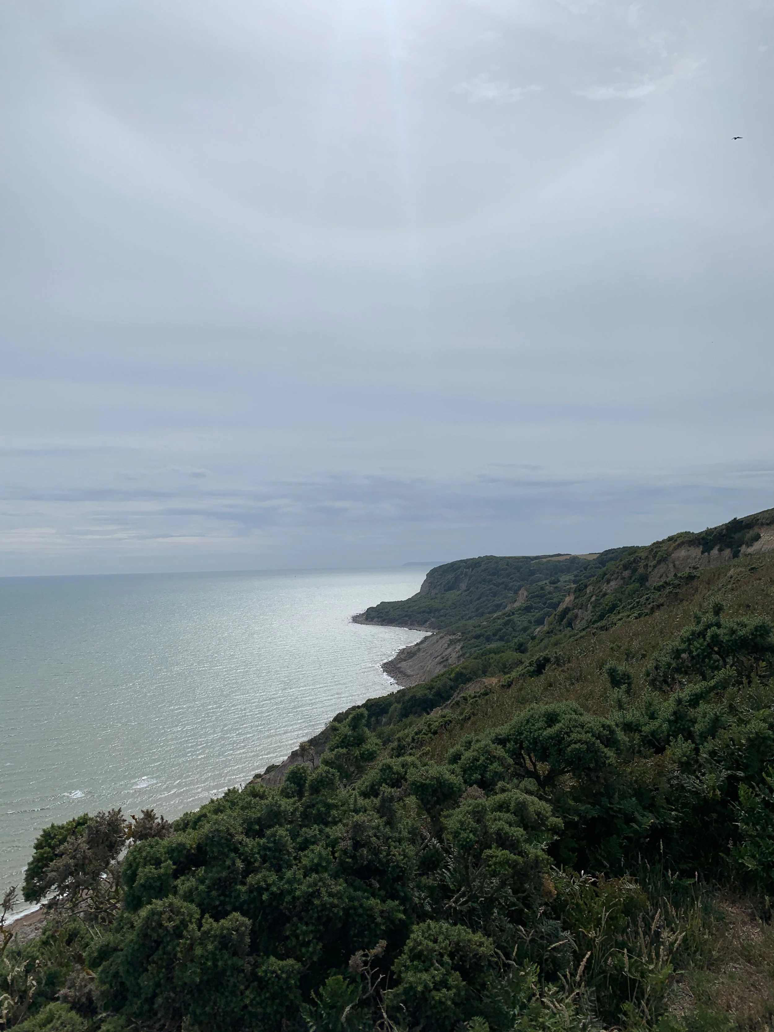 View of a coastal landscape with cliffs and greenery under a cloudy sky and a bird flying.