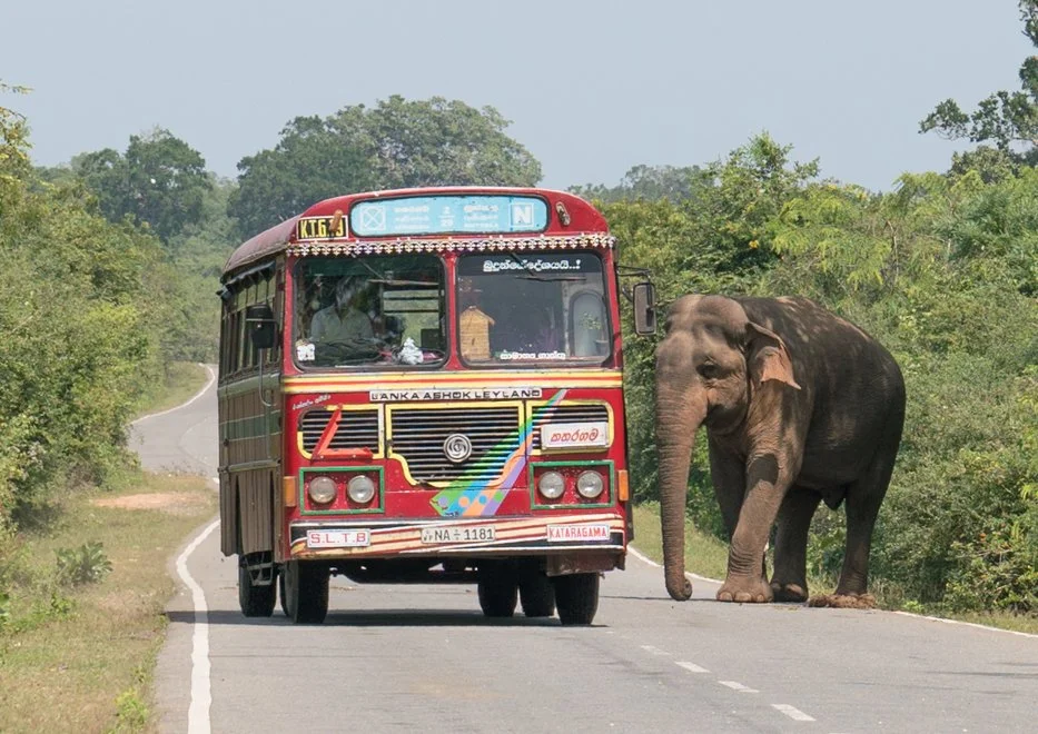 SL 01 (19 of 41).jpg