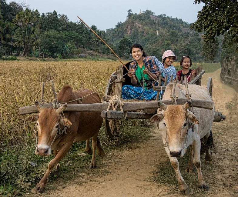 Myanmar (1 of 1).jpg