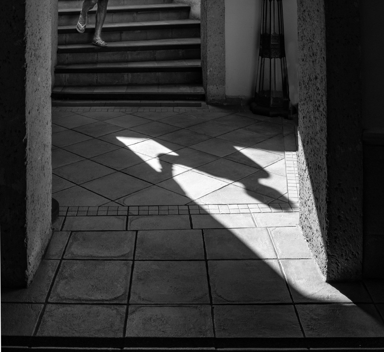 Descending from the Light (1 of 1).jpg