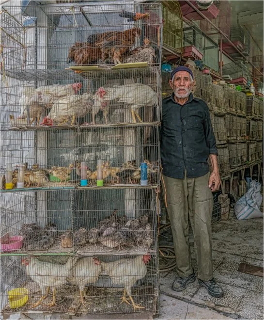 Iran 02 (10 of 23).jpg