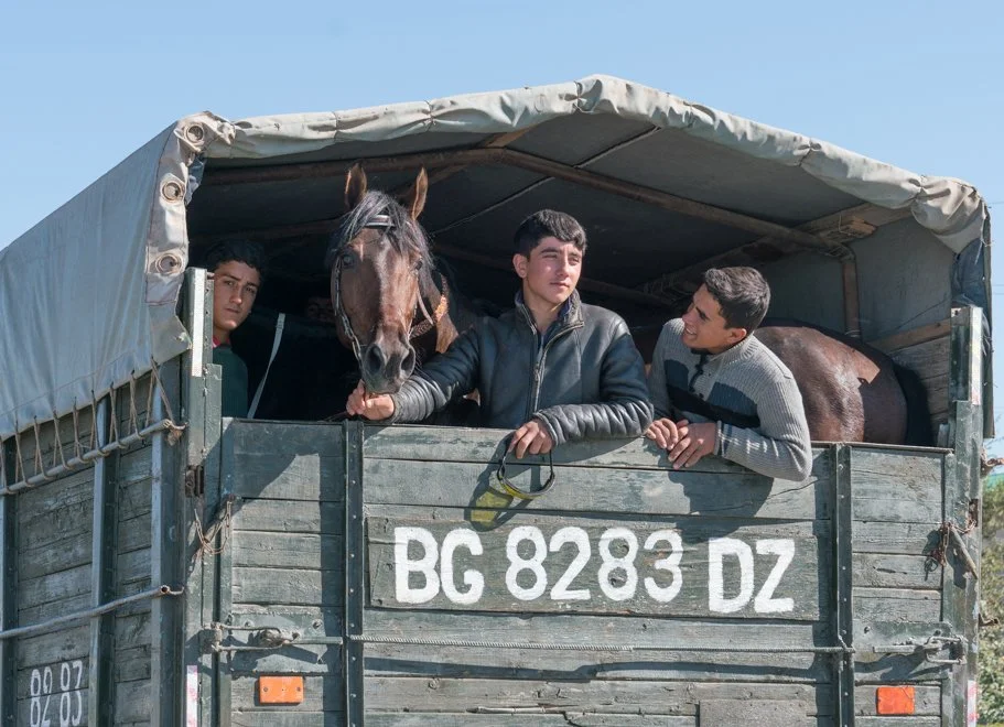 Turkmen (6 of 9).jpg