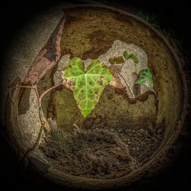 The Tip (4 of 16).jpg