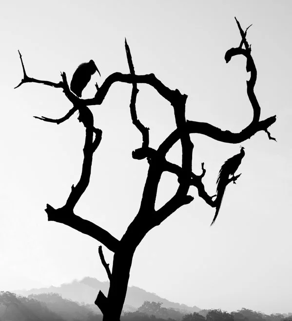 SL 01 (21 of 41).jpg