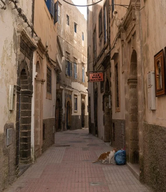 Morrocco (1 of 1)-13.jpg