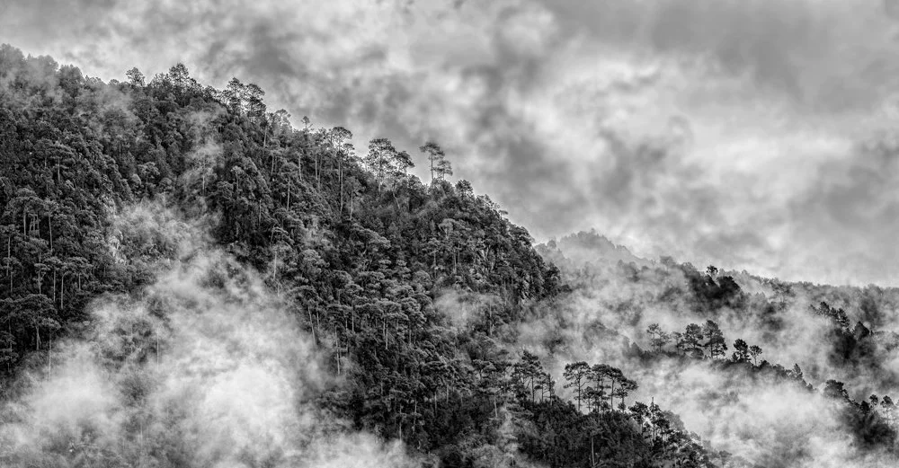 Bhutan (11 of 17).jpg