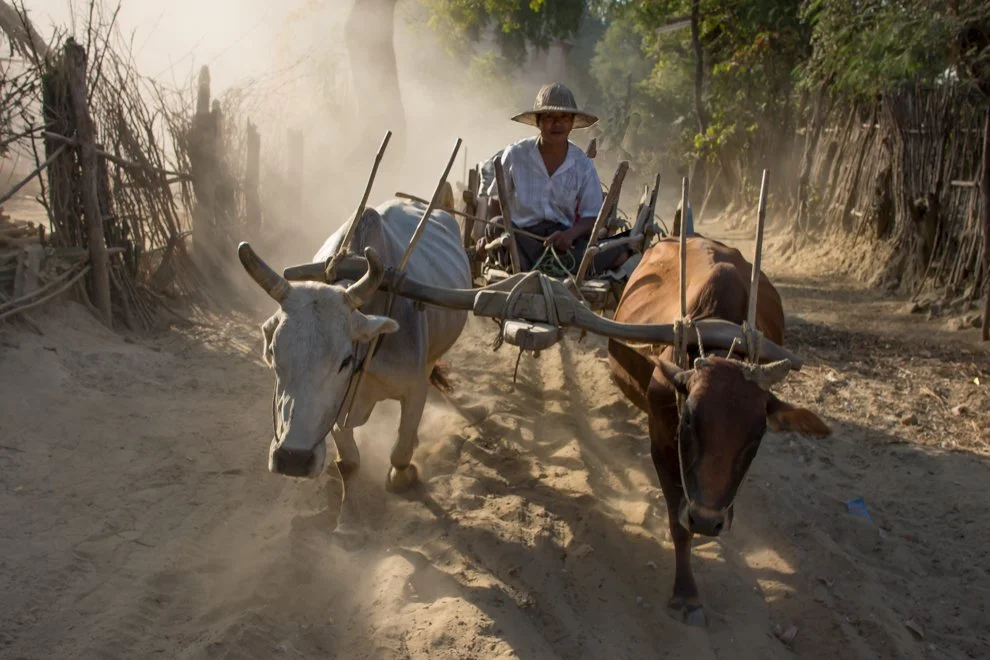 Myanmar (2 of 17).jpg