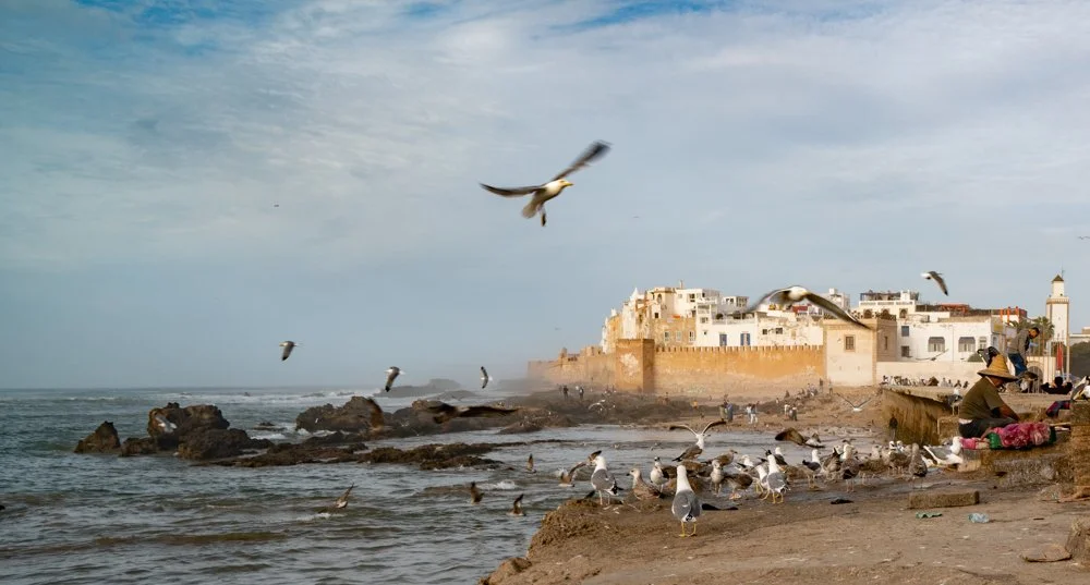 Morrocco (1 of 1)-12.jpg