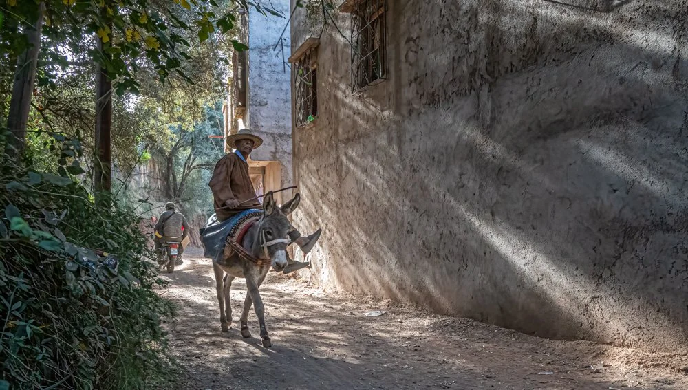 Morrocco (1 of 1)-9.jpg