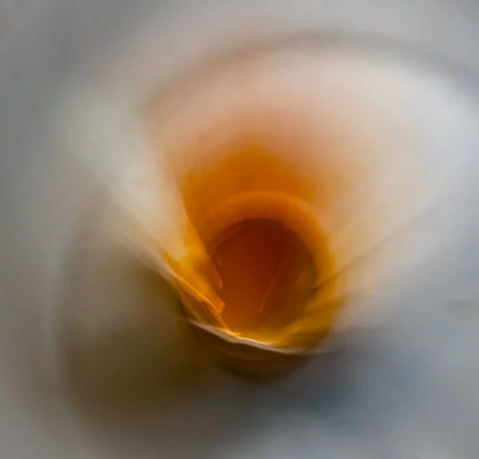 Egg ICM (1 of 1)-4.jpg