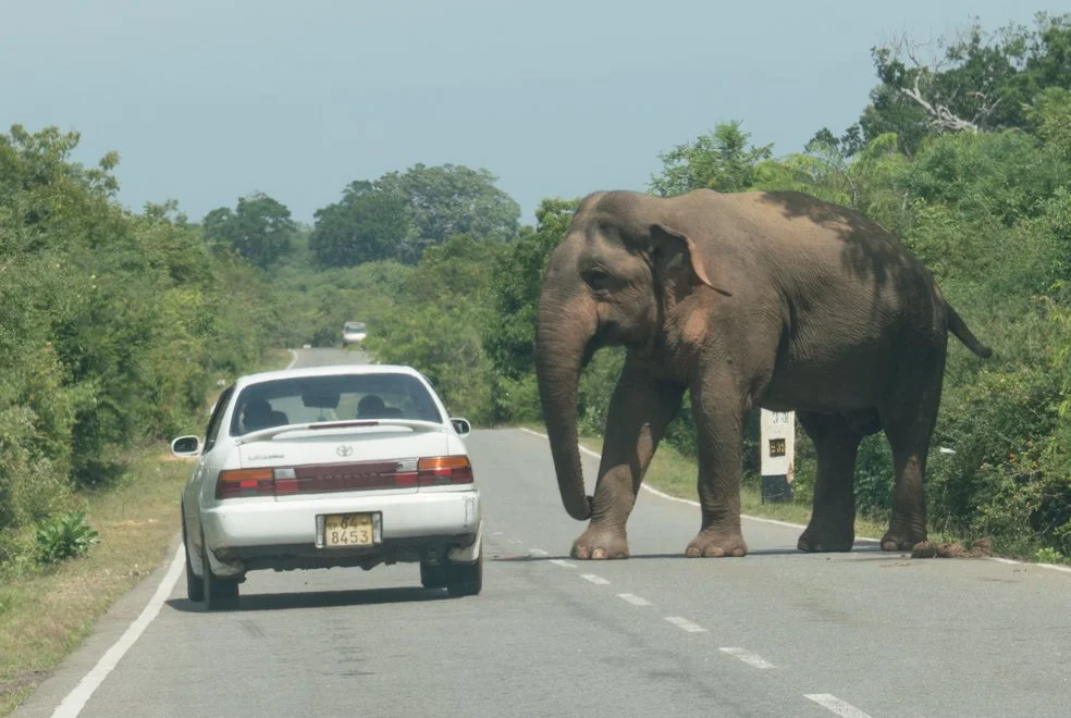 SL 01 (20 of 41).jpg