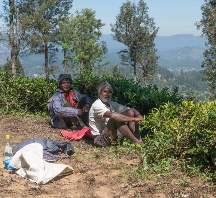 SL 01 (22 of 41).jpg