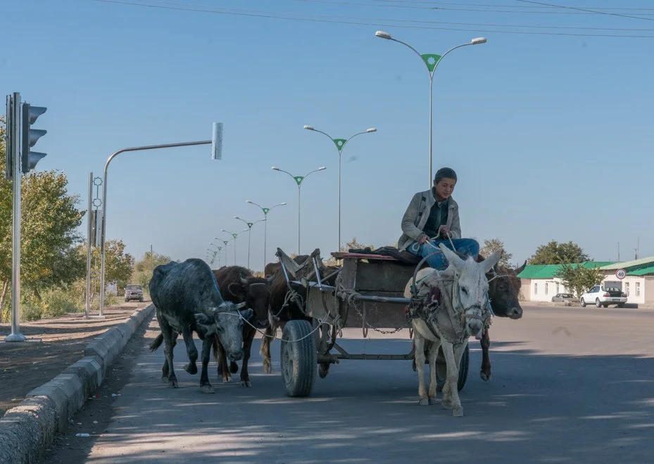 Turkmen (8 of 9).jpg
