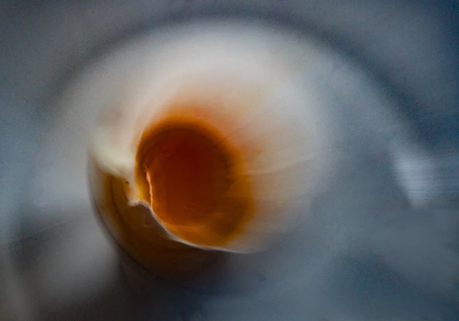 Egg ICM (1 of 1).jpg