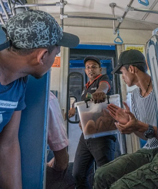 SL 01 (24 of 41).jpg