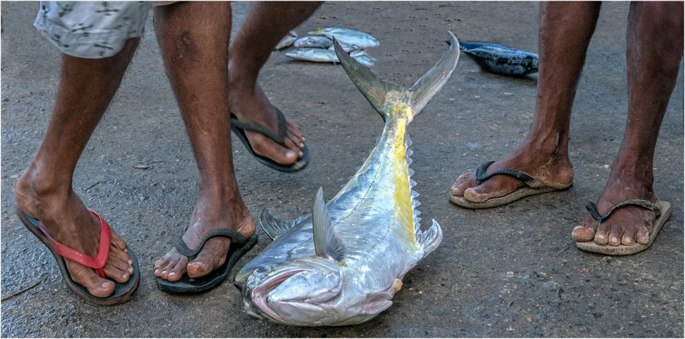 SL 01 (11 of 41).jpg