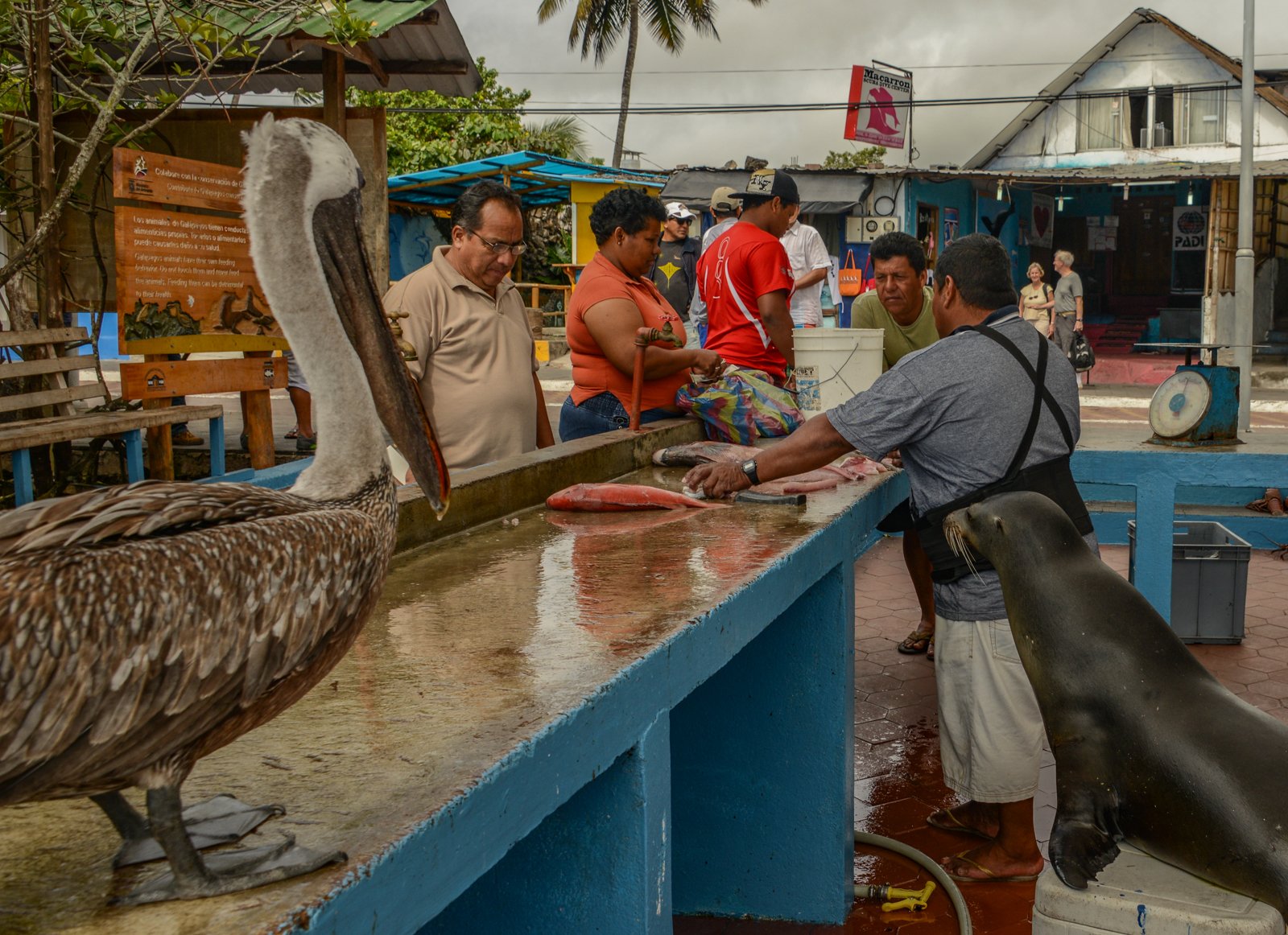 Equador (1 of 1)-8.jpg