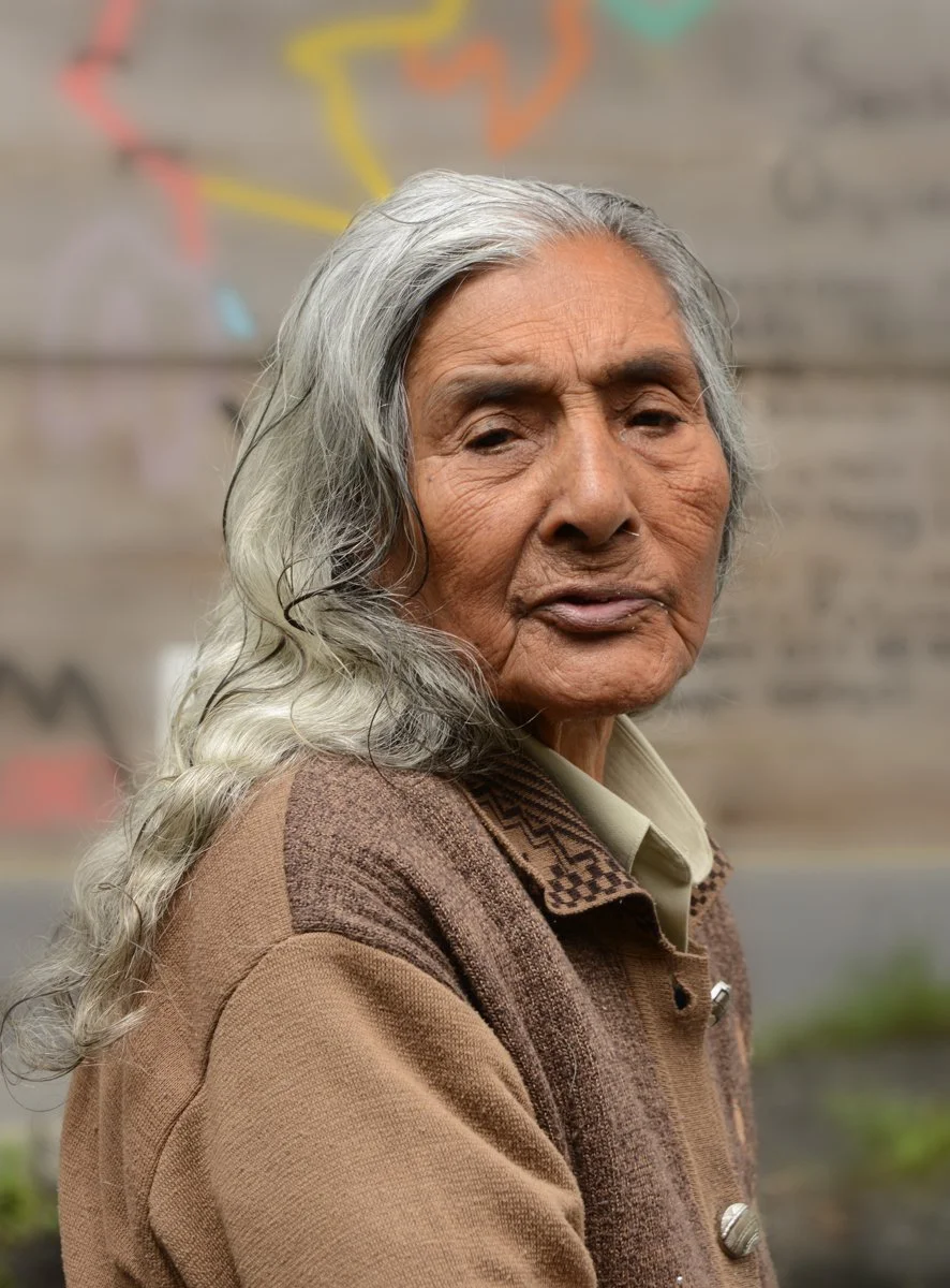 Rain Forest Reserve, Equador