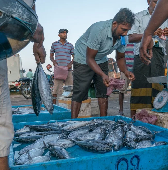 SL 01 (10 of 41).jpg