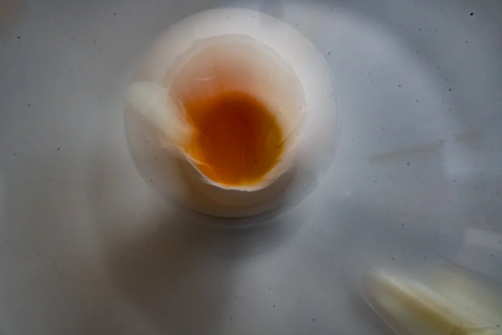 Egg ICM (1 of 1)-2.jpg