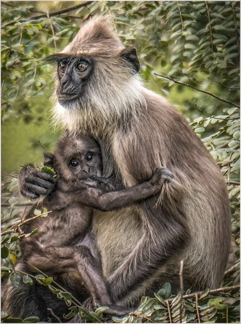 SL 01 (33 of 41).jpg