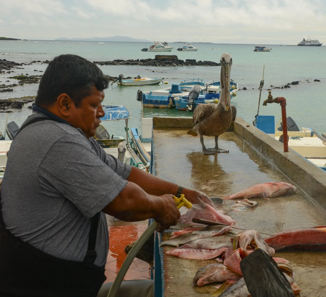 Equador (1 of 1)-7.jpg