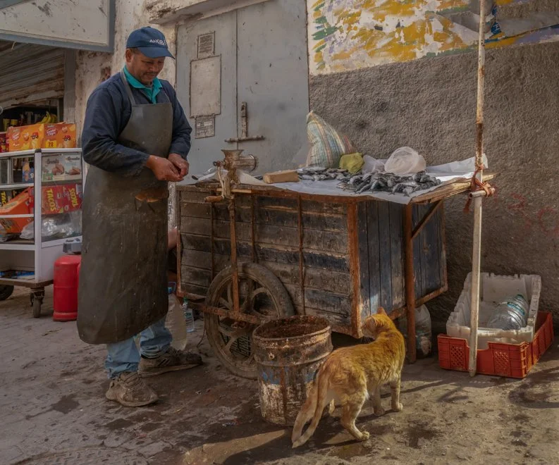 Morrocco (1 of 1)-14.jpg