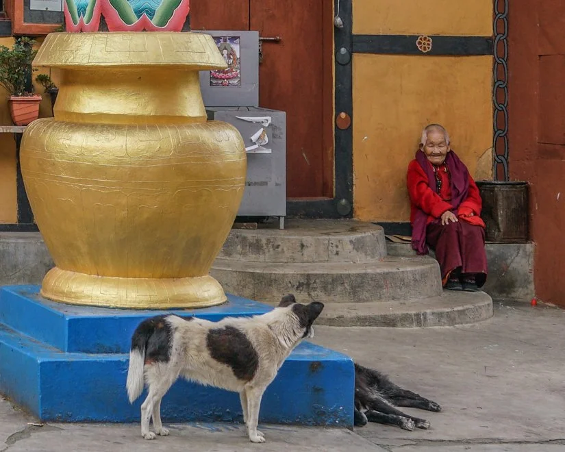 Bhutan (4 of 17).jpg