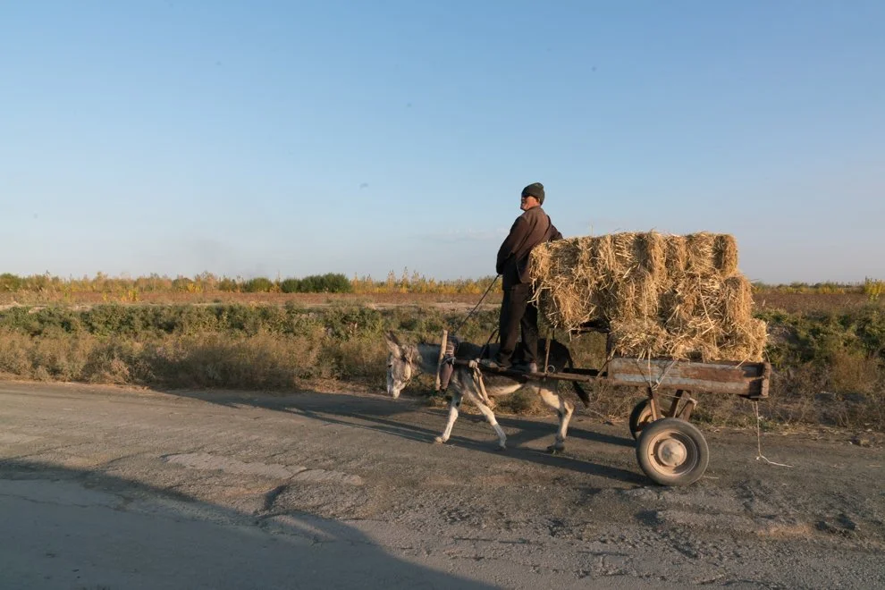 Turkmen (9 of 9).jpg