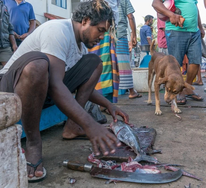 SL 01 (12 of 41).jpg