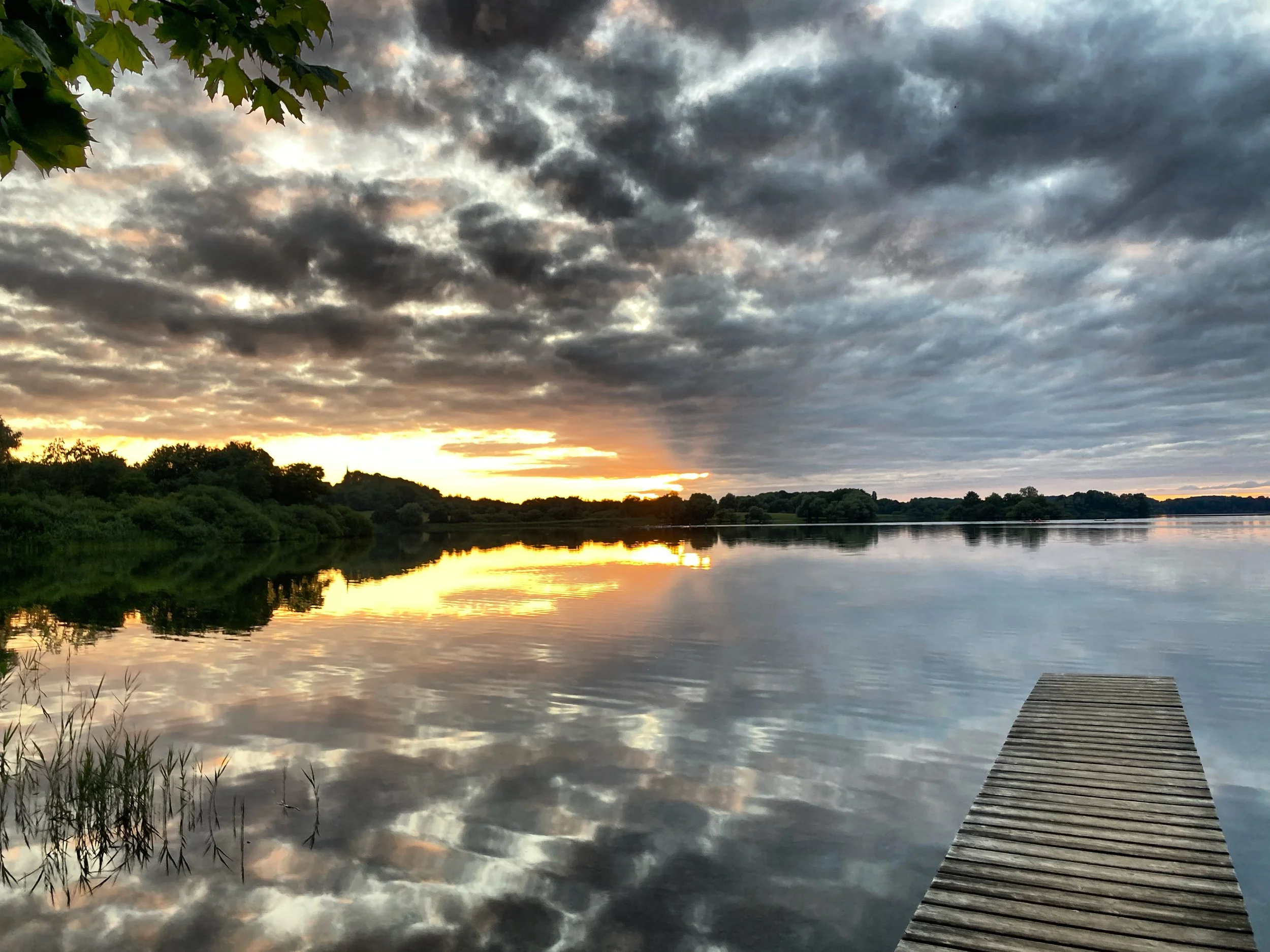 7C1EFC71-449D-467C-AB20-B27E27DE9A55 2.jpeg