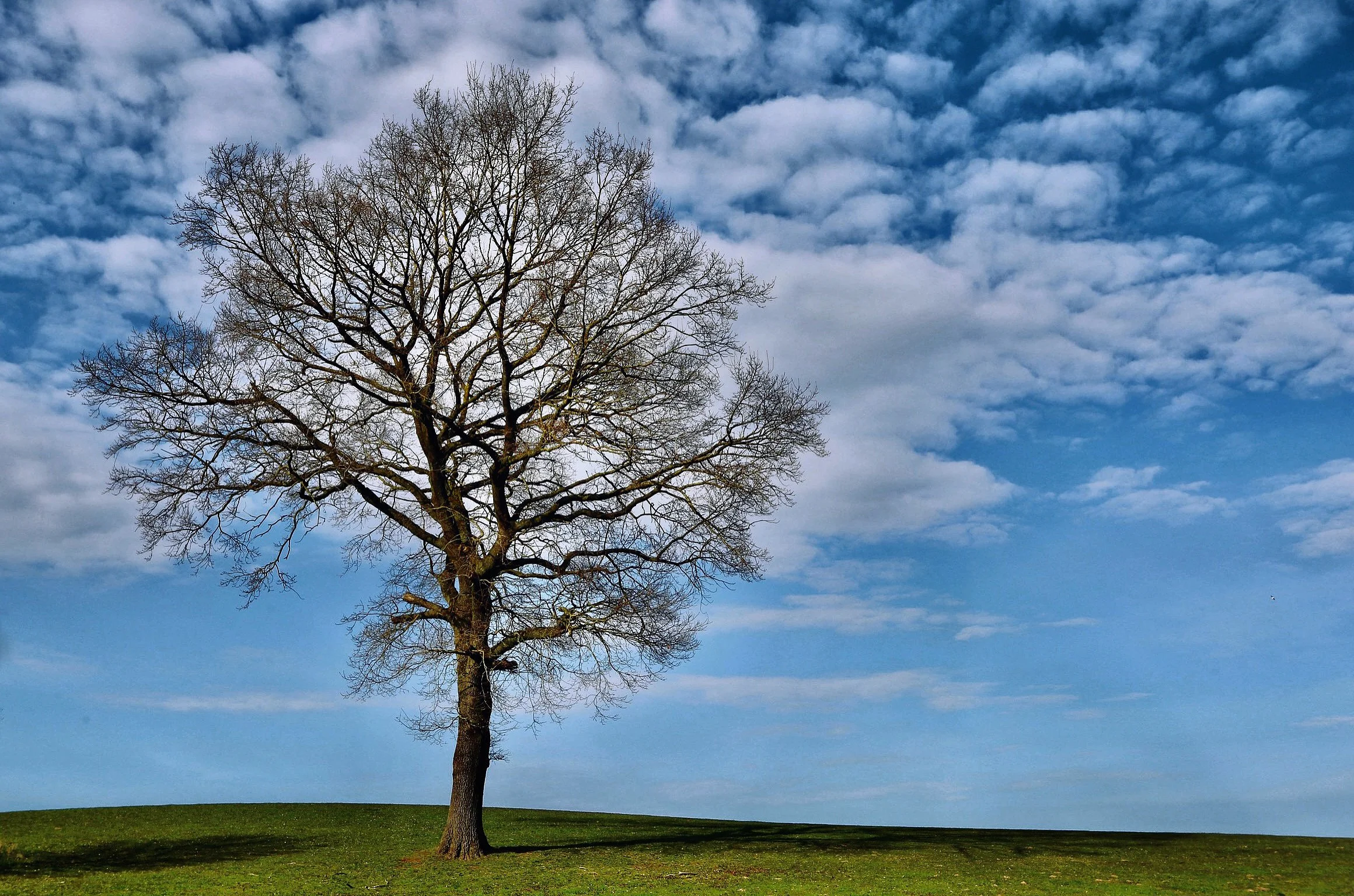 AEBD3D9A-BA76-44CB-B0BC-99101073D10D 2.jpeg