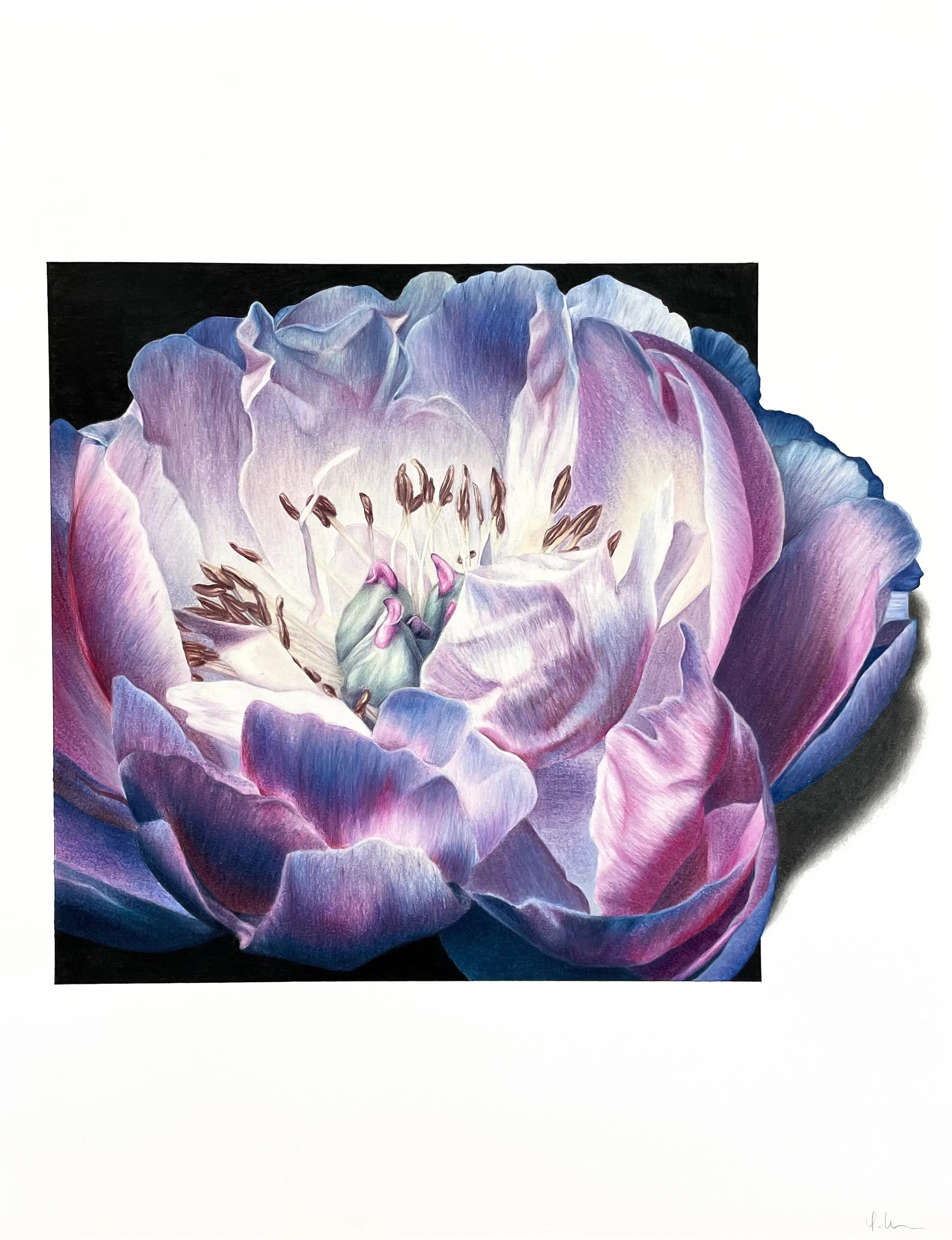 Peony
