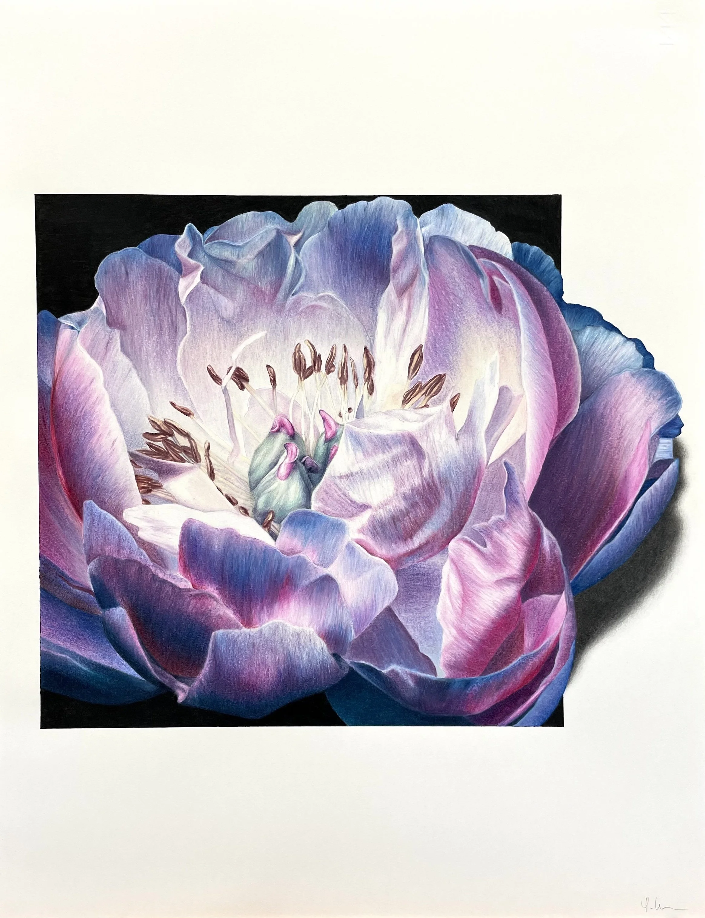 Peony