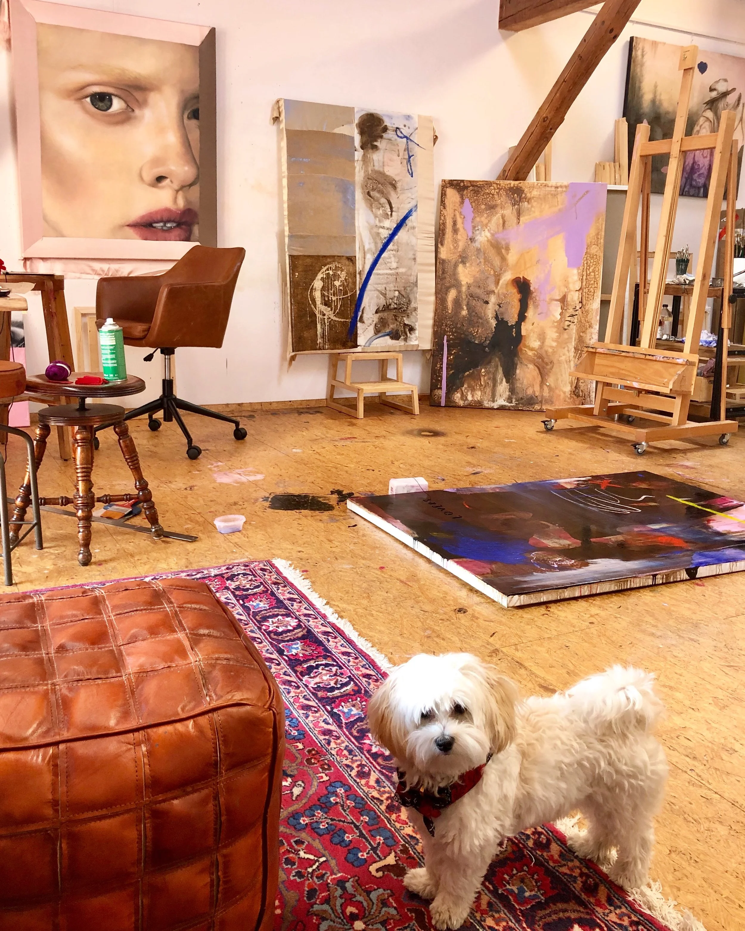 An art studio with multiple abstract paintings leaning against the wall and on easels. In the foreground, a small fluffy white dog with tan ears and a red collar stands on an ornate rug, looking at the camera. The workspace includes a leather chair, a small table with art supplies, and a large painting on the floor.