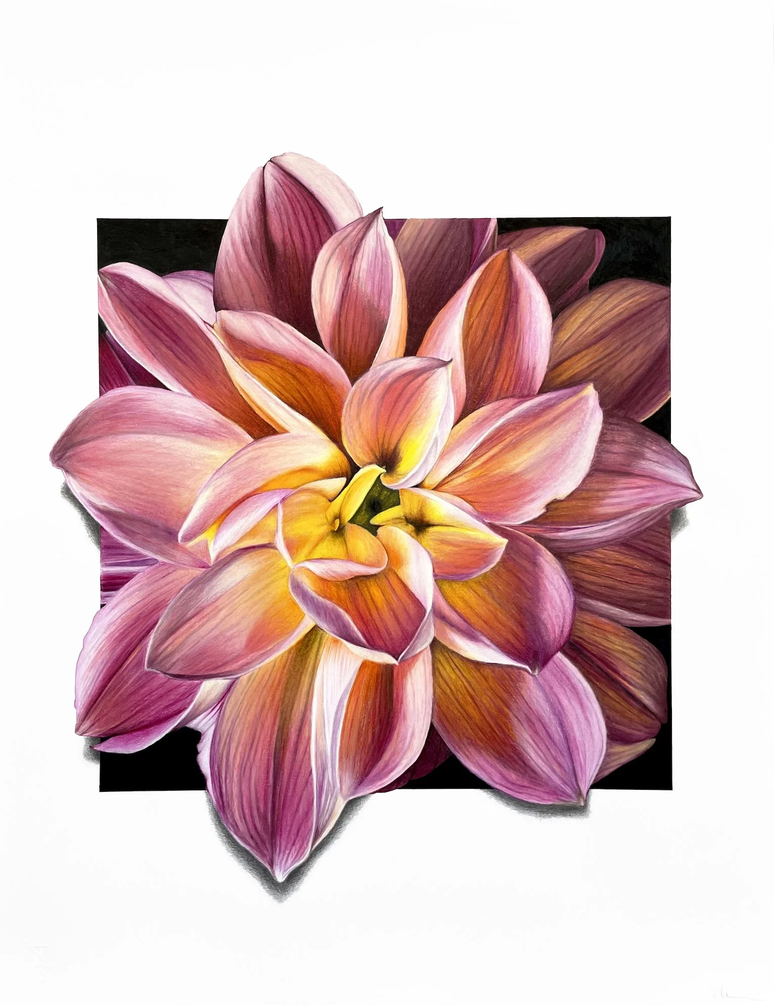 Dahlia