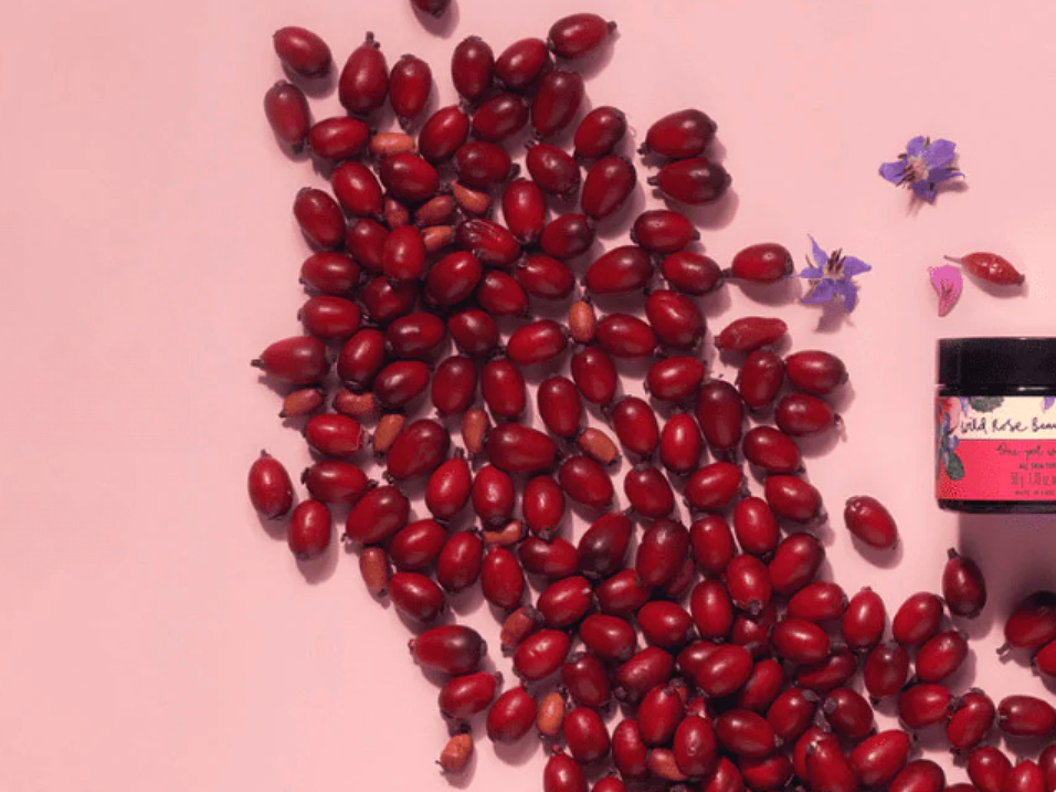 Neal's Yard Remedies, Blogs