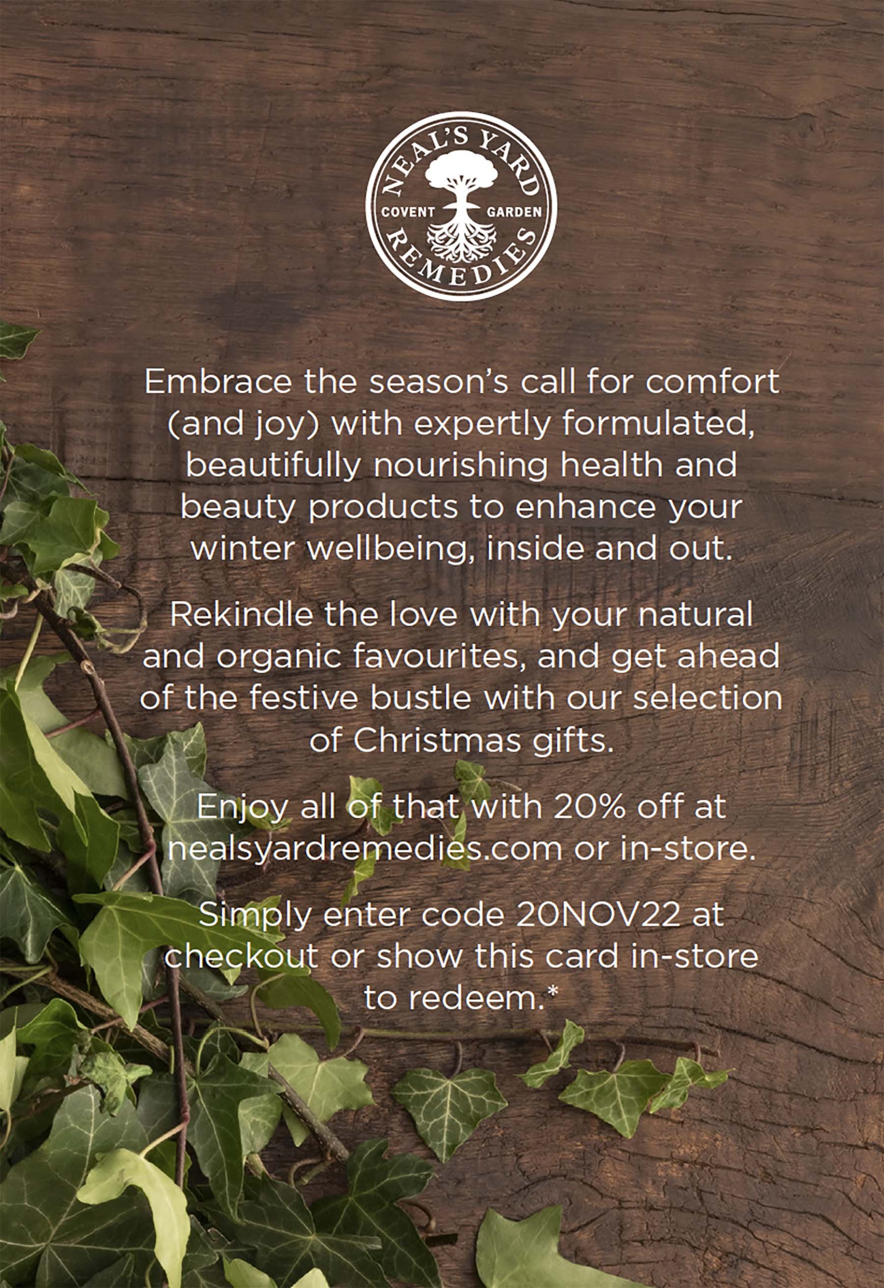 Christmas 2022 Direct Mailer.jpg