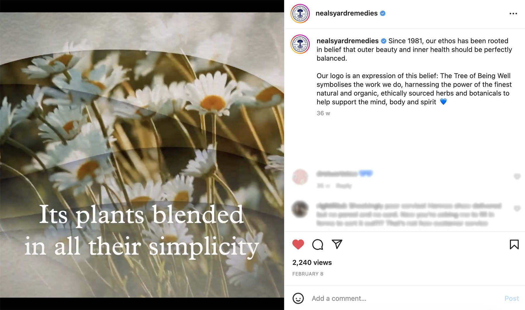 Brand Video Social.jpg