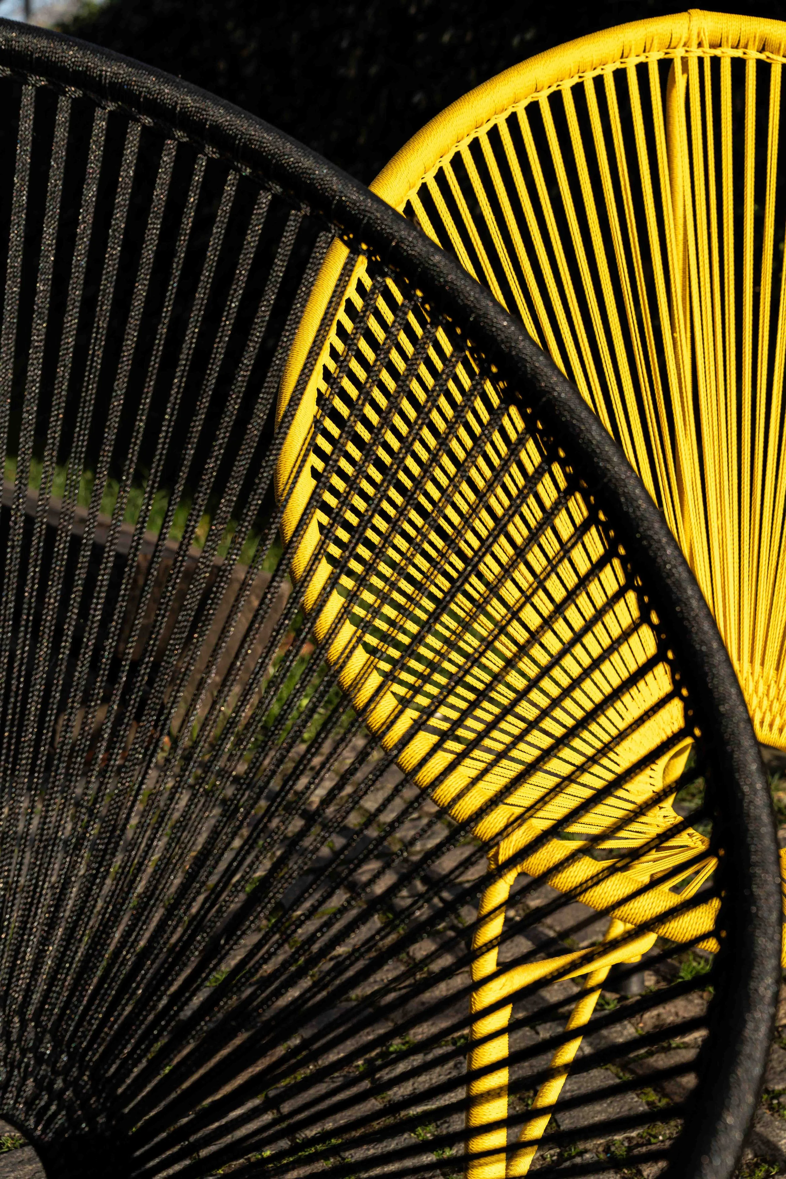 Composition studio centrée sur la forme et la couleur. Mise en valeur graphique adaptée à communication créative et branding.