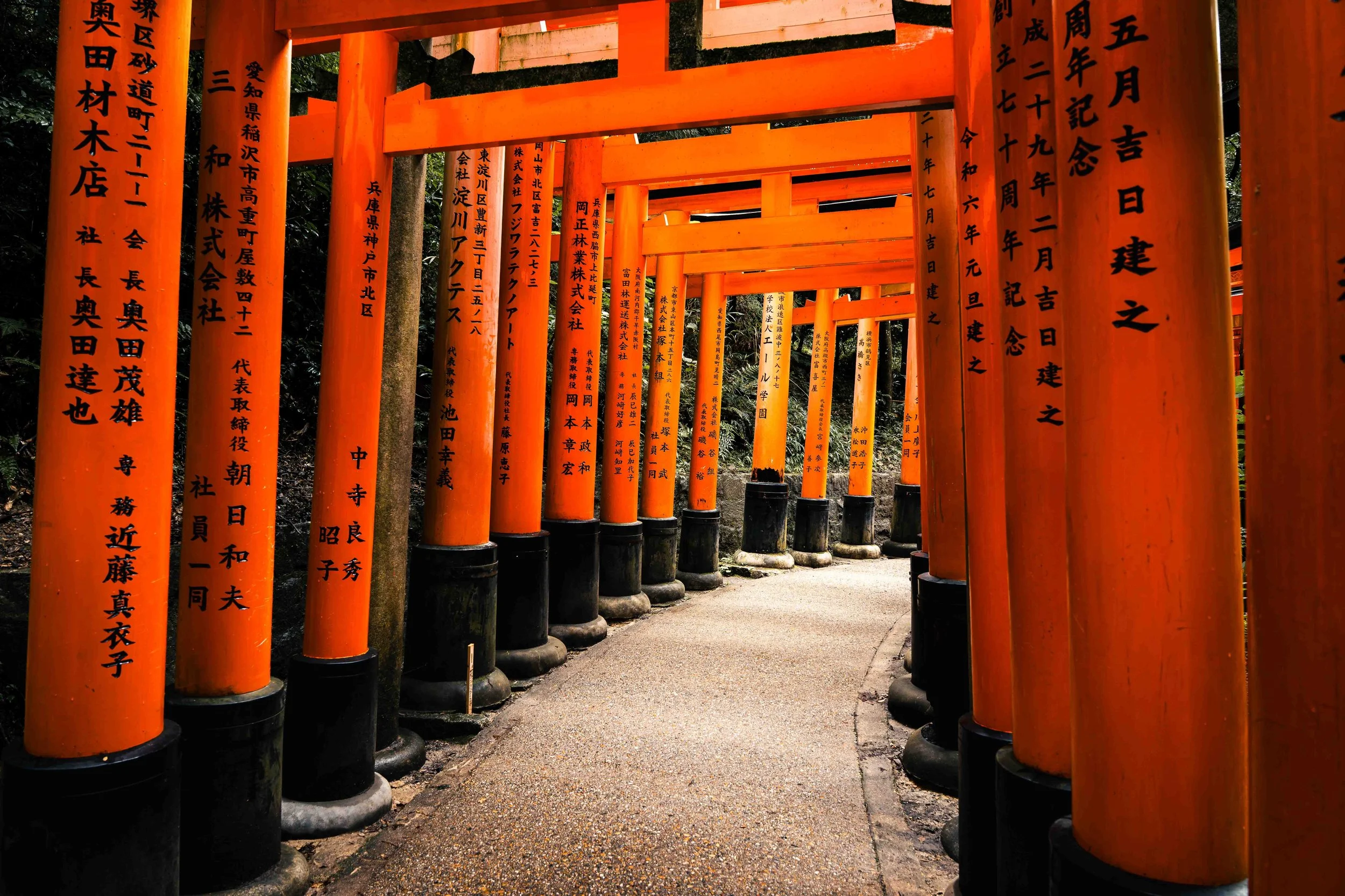 Photographie d’un passage de torii rouges formant un tunnel sacré dans un sanctuaire shinto au Japon. Les portiques vermillon alignés créent une perspective rythmée le long d’un chemin sinueux, tandis que les inscriptions japonaises gravées sur les p