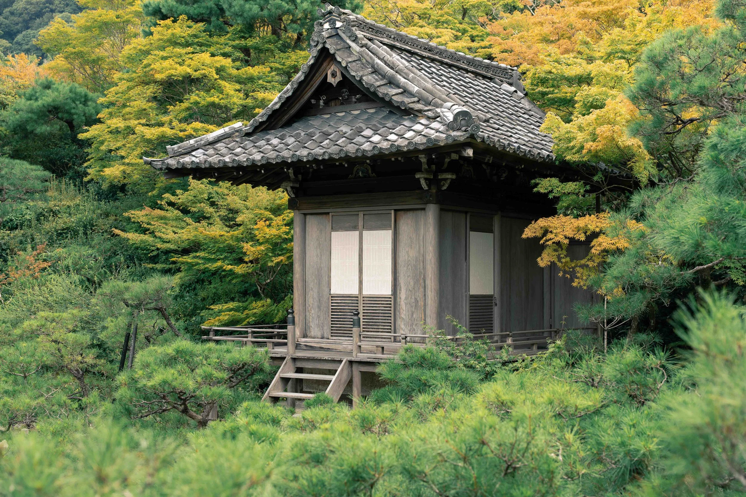 Petite architecture isolée dans un environnement naturel. Photographie de lieu, échelle humaine, relation entre construction et paysage.
